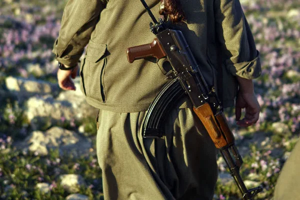 Adıyaman'da 2 terörist etkisiz hale getirildi