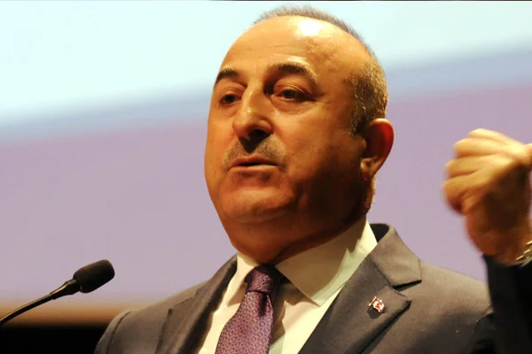 Çavuşoğlu'ndan Barış Pınarı Harekatı açıklaması