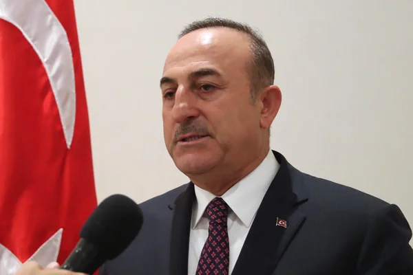 Çavuşoğlu'ndan Barış Pınarı Harekatı'na karşı çıkan ülkelere tepki