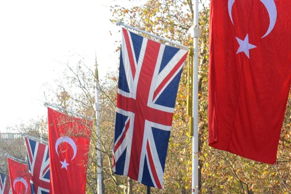 İngiltere'den Türkiye'ye ''harekat'' desteği