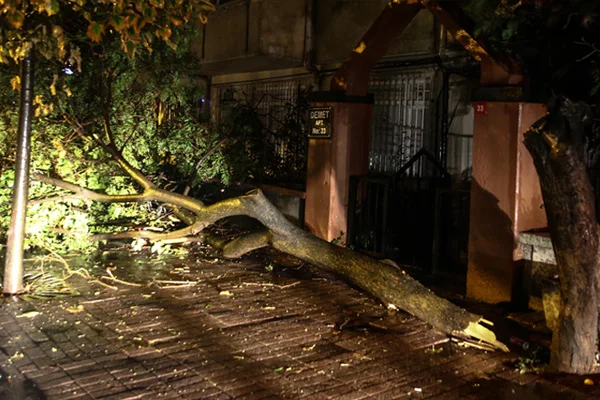 İstanbul'da fırtına ve yağış: Ağaçlar devrildi, çatılar uçtu