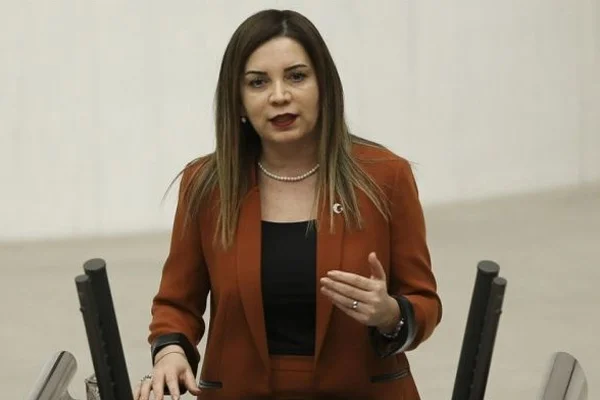 MHP'li Arzu Erdem, Bingöl'de tespit ettiği sağlık ocağı ve okul için adım attı