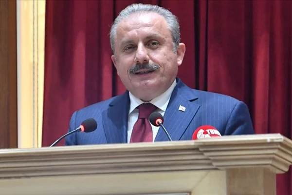 'Terör oluşumuna müsaade etmeme konusunda kararlıyız'