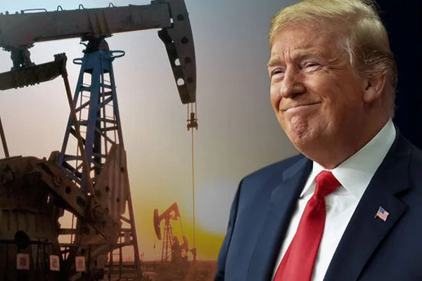 "Trump'ın, Suriye petrolünü satması savaş suçu olur!"