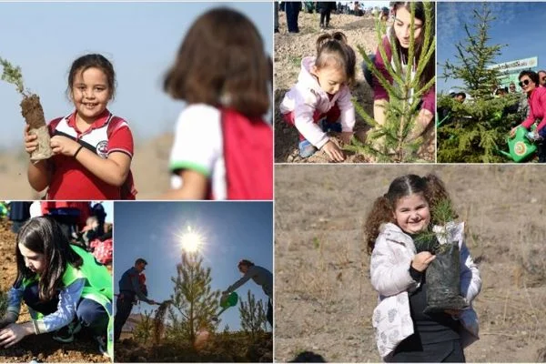 81 ilde 11 milyon fidan toprakla buluşuyor