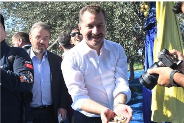 Ayvalık'ta ilk hasat yapıldı