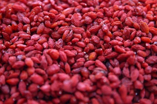 'Bunu kimse yemez' dediler şimdi talebe yetişemiyor