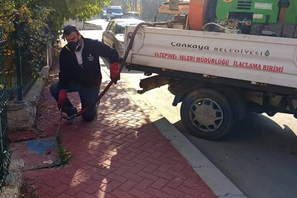 Çankaya Belediyesi ilaçlamaya kışın da devam edecek