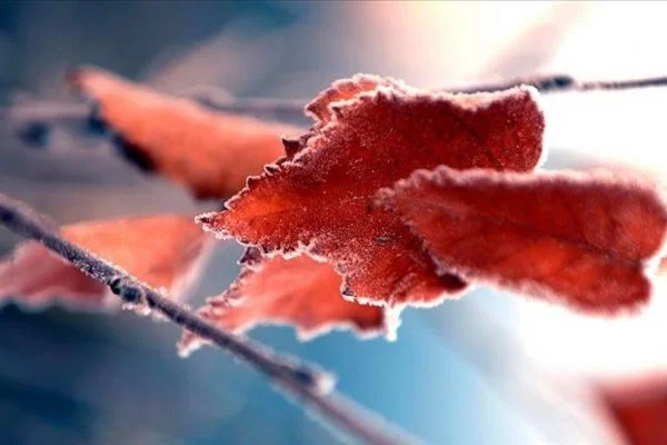 Doğu Anadolu'da 5 ilde sıcaklıklar sıfırın altına düştü