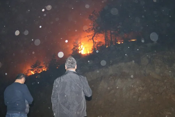 Hatay'da orman yangını