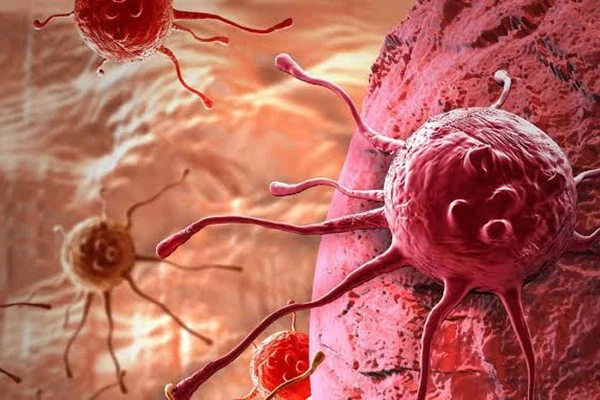 Kanserin tedavisi için ümit veren gelişme
