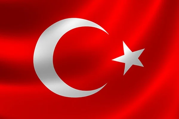 Milli Takım'ın ilk 11'i belli oldu
