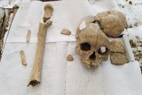Şapinuva Antik Kenti'nde 3500 yıllık insan kafatası ve uyluk kemiği bulundu