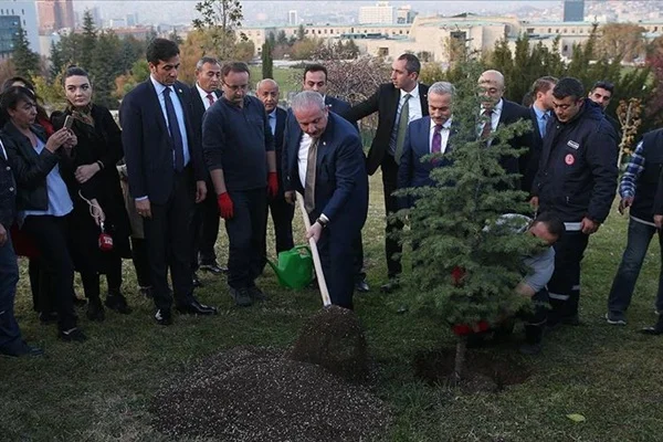 Şentop'tan '11 Milyon Ağaç; Bugün Fidan, Yarın Nefes' kampanyasına destek