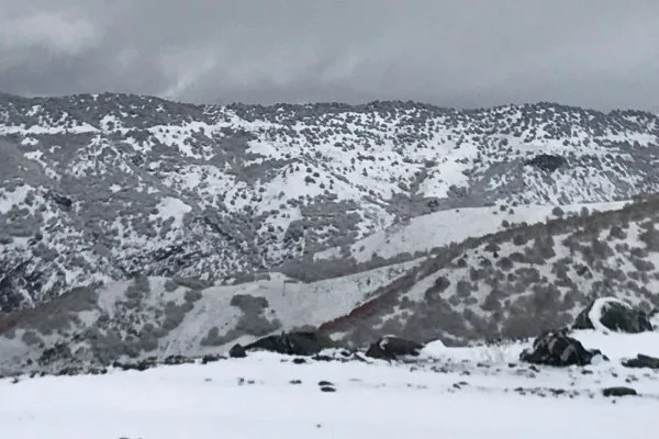 Tunceli'de ilk kar yağdı