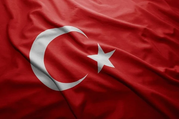 'Türkiye yeni dünya düzeninin kurucu aktörlerinden olacak'
