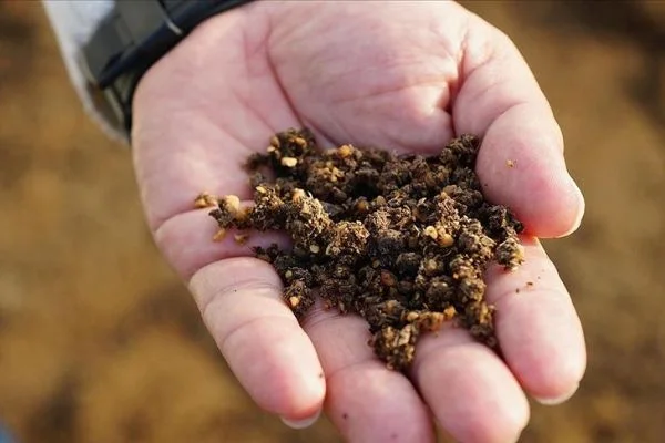 Zeytin çekirdeğinden üretilen çevreci yakıta talep artıyor