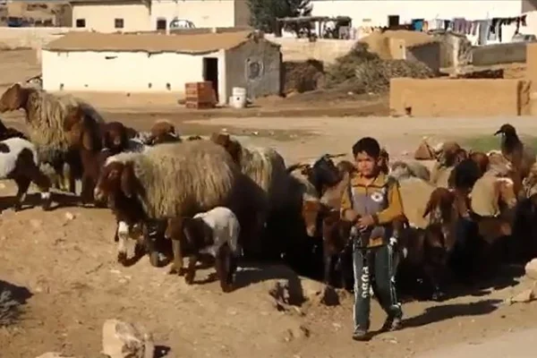 Barış Pınarı Harekatı bölgesinde çocuklar terör baskısı olmadan okullarına gidiyor