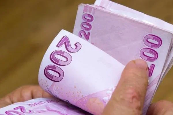 Bilim giderinin yüzde 75'ine destek