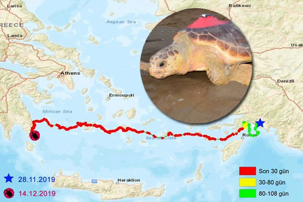 'Caretta Tuba' Yunanistan'a ulaştı