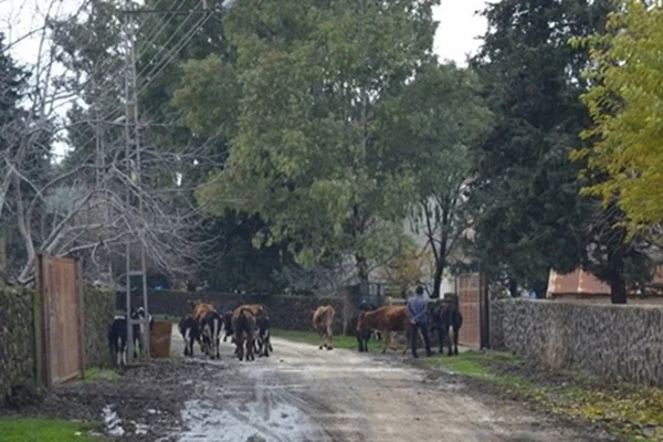 Gaziantep'te bir mahalle 6 ay süreyle karantinaya alındı