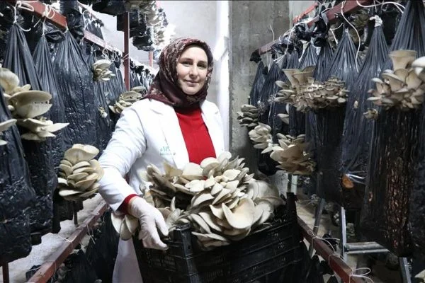 Girişimcilik hayalini 'Genç Çiftçi Projesi' ile gerçekleştirdi