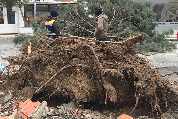 İstanbul'da fırtına hasara neden oldu