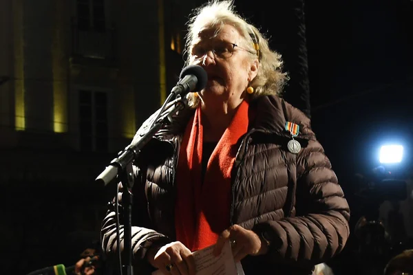 İsveçli gazeteci, Peter Handke'ye tepki olarak Nobel madalyasını iade ediyor