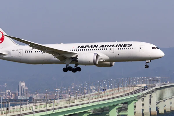 Japonya Havayollarından 50 bin bedava bilet
