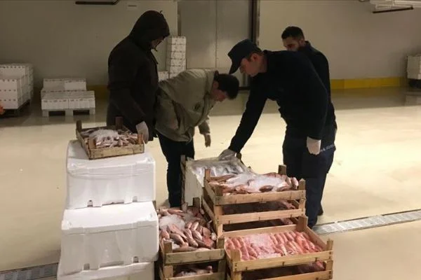 Kanuna aykırı avlanan 20 ton su ürününe el konuldu
