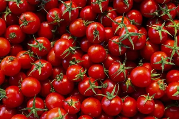 Kasımda en fazla domatesin fiyatı arttı