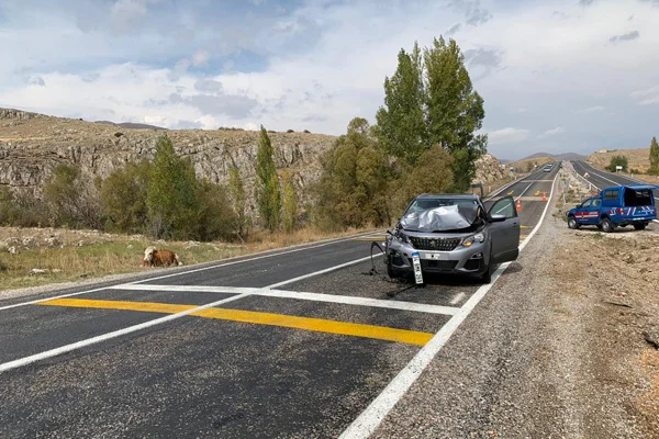 Kayseri Valiliği: Trafik cezasını ineğe değil, sahibine kestik