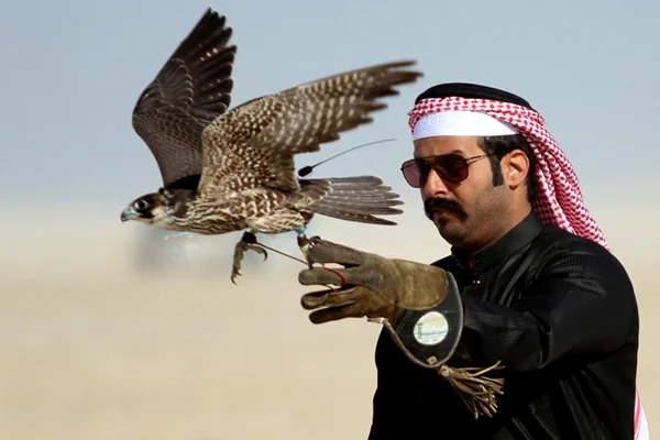 Pakistan'dan Bahreyn kraliyetine avlanma izni: Koruma altındaki kuşları vuracaklar