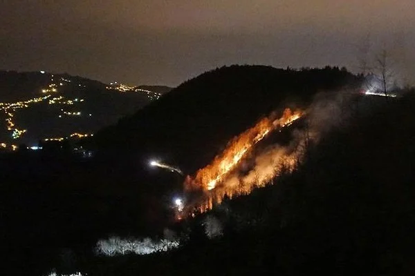 Trabzon'da 100 dönümlük alanda örtü yangını çıktı