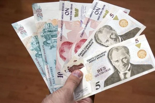 Yeni Türk Lirası banknotların zaman aşımı yıl sonunda dolacak