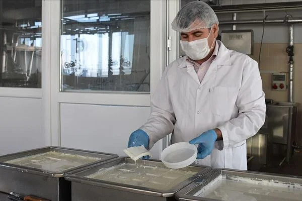 'Afyon kaymağı' bilimsel yöntemle üretiliyor