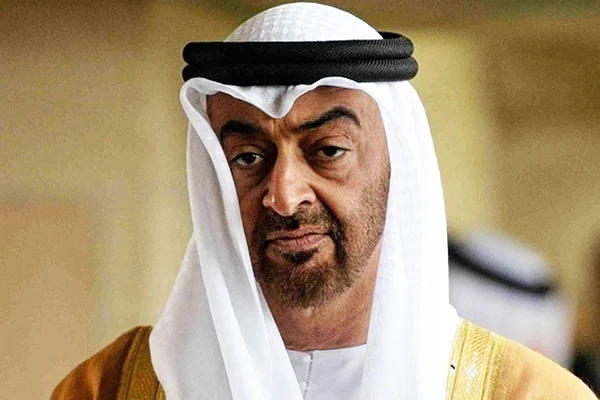"BAE, Libya'daki Türk-Cezayir koordinasyonuna neden kızdı?"