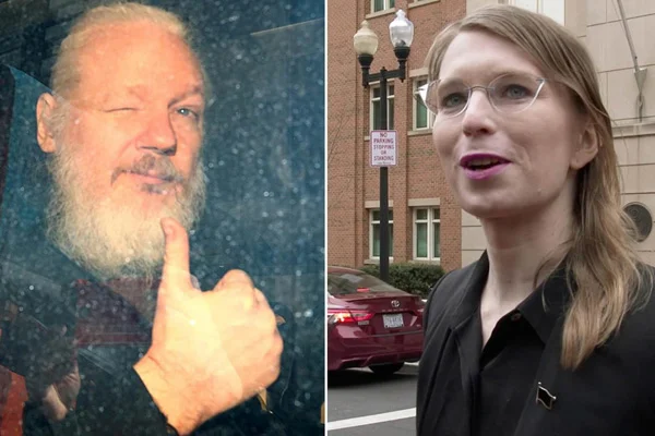 BM: Julian Assange ve Chelsea Manning'e işkence yapılıyor