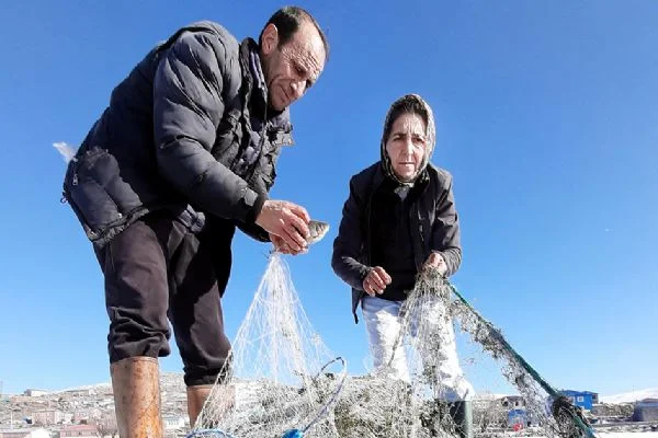 Buzla kaplanan Çıldır Gölü'nün kadın balıkçısı: Çınar Kılıç