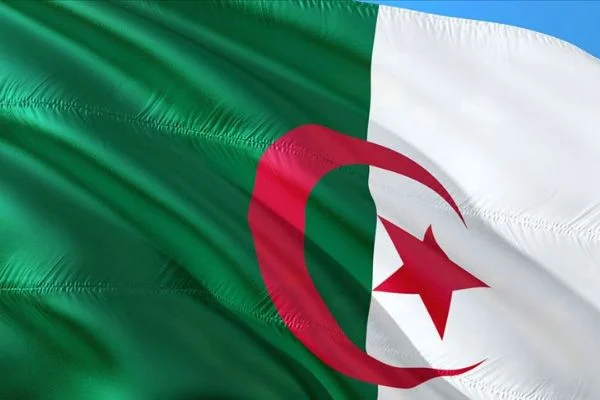 Cezayir Genelkurmay Başkanı'ndan Libya sınırındaki askeri birliklere ziyaret