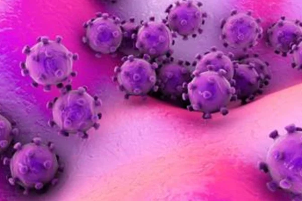 Çin'de 'gizemli virüs' alarmı