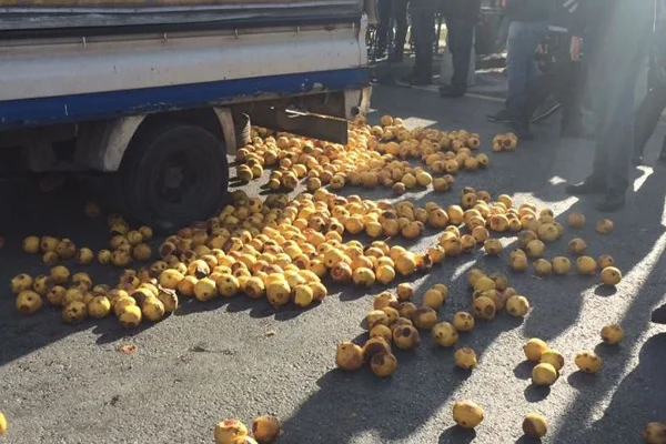 İBB'den ''ayvalı protesto'' açıklaması