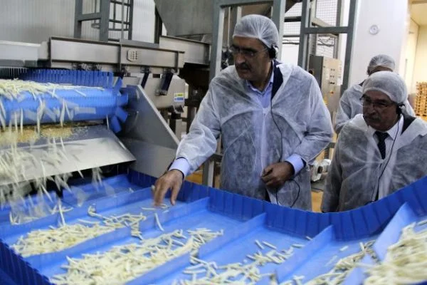 Konya Şeker'den patates üreticisine 102 milyon TL ödeme