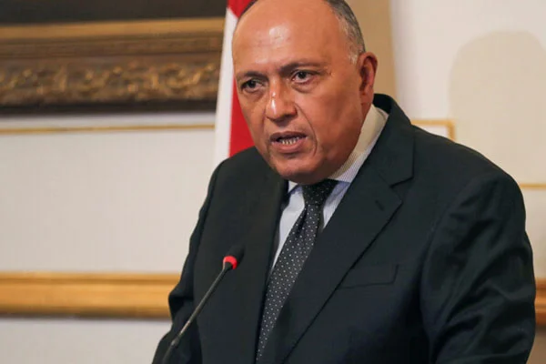 Mısır Dışişleri Bakanı : Türkiye'nin Libya'ya asker gönderme kararı, 'Berlin Konferansı'nı olumsuz etkiliyor