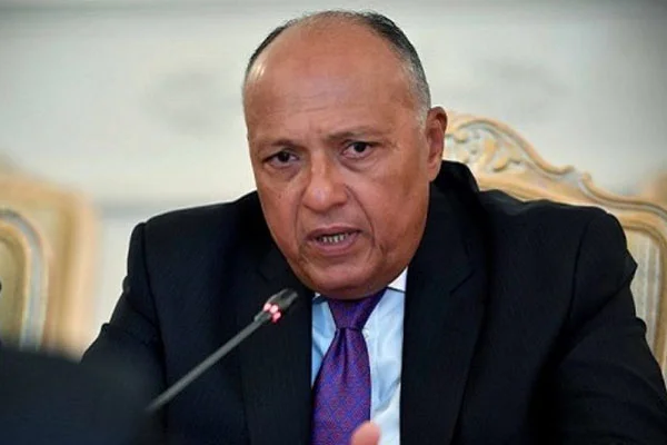 Mısırlı bakan, Türkiye'nin Libya'daki durumundan rahatsız!