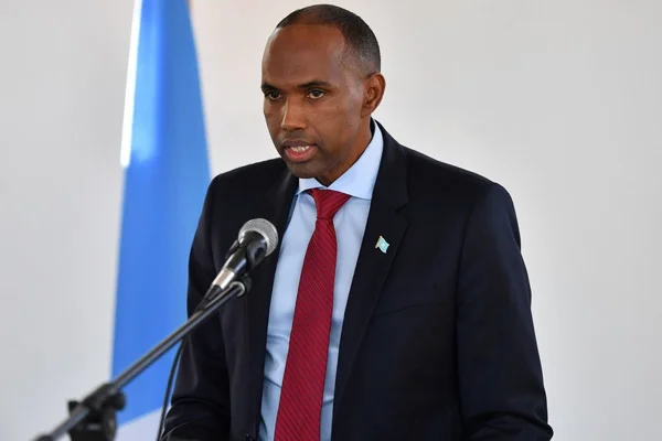 Somali Başbakanı: Türk vatandaşlarının güvenliği için önlem alacağız