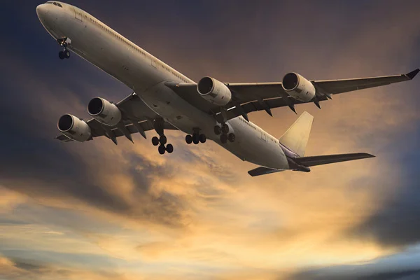 SunExpress, İzmir'den Avrupa'nın 4 farklı şehrine daha uçacak