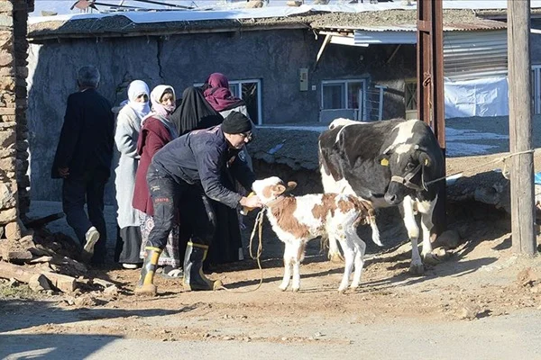 Veteriner hekimler, deprem bölgesindeki hayvanları ücretsiz tedavi edecek