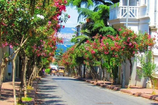 Adalar,bisiklet sürmek için keyifli bir rota.