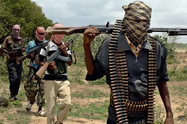 'Boko Haram mağdurlarının yüzde 90'ı Müslüman'